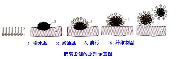 肥皂、洗衣粉和洗衣液三者有哪些區(qū)別？